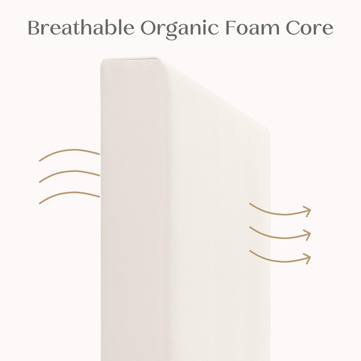 Organic Crib and Toddler Mattress E1053