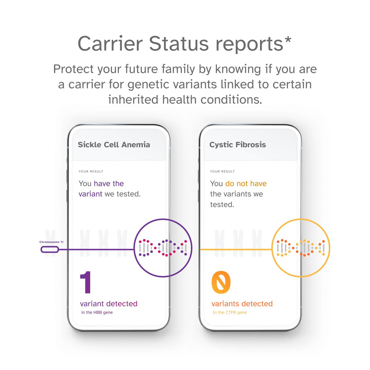 DNA Test Kit E2637