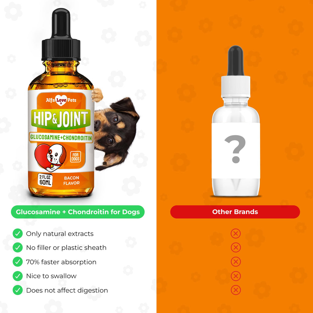 Liquid Glucosamine Chondroitin Dog Supplement 2 oz Z735