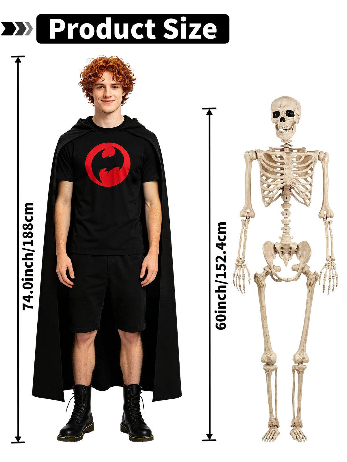 Life Size Posable Skeleton with Movable Joints K62258