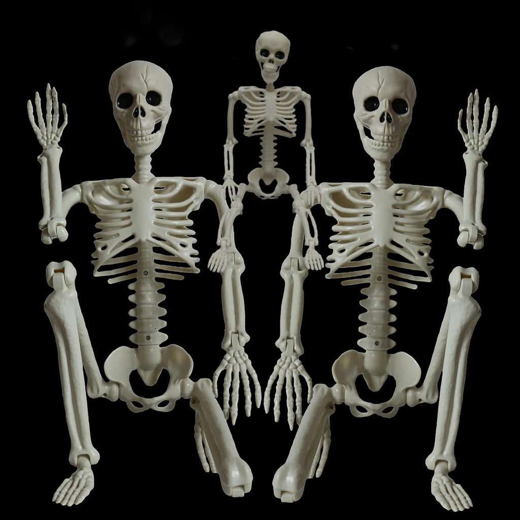 2Pcs 36" 1Pcs 16" Posable Plastic Skeleton I379