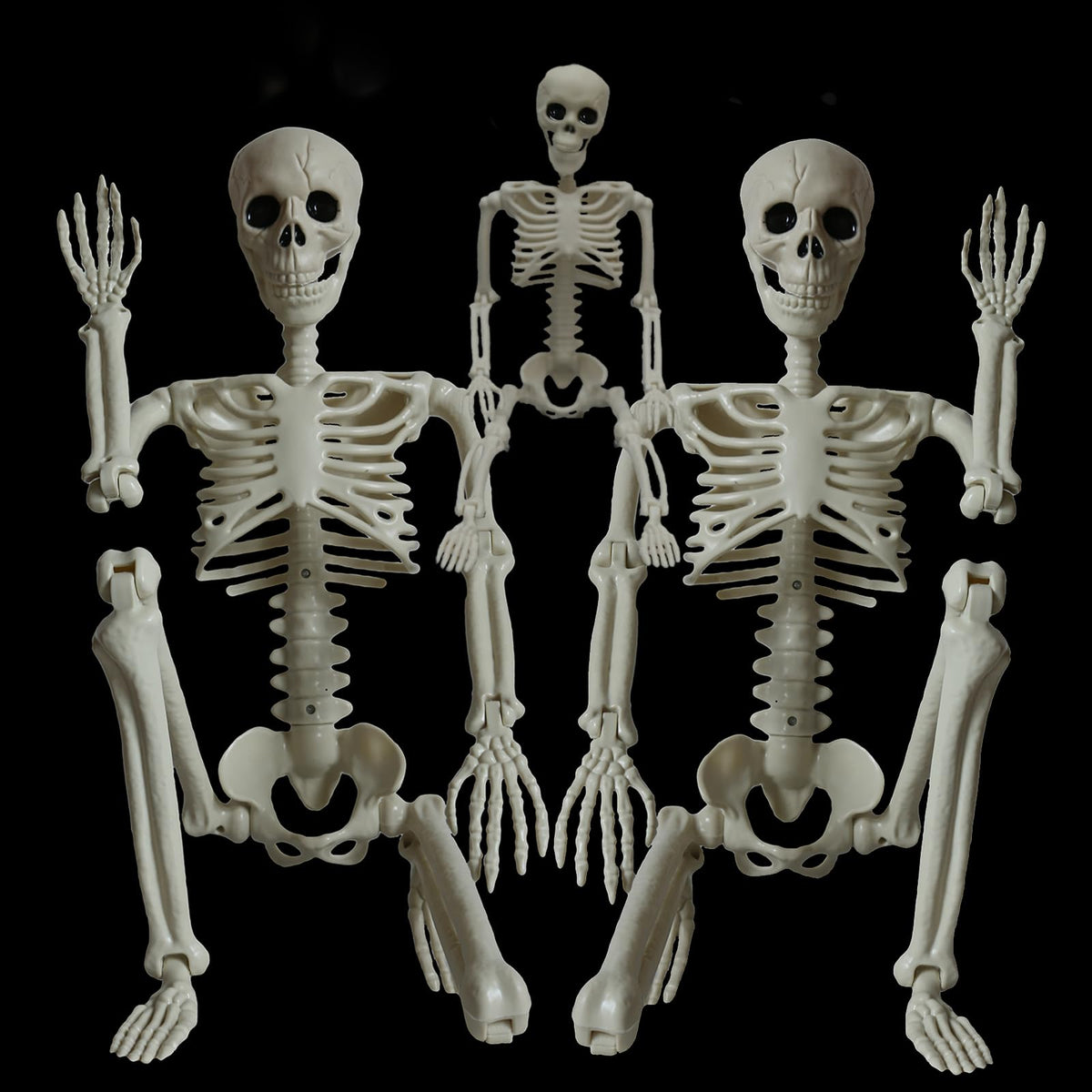 2Pcs 36" 1Pcs 16" Posable Plastic Skeleton I379