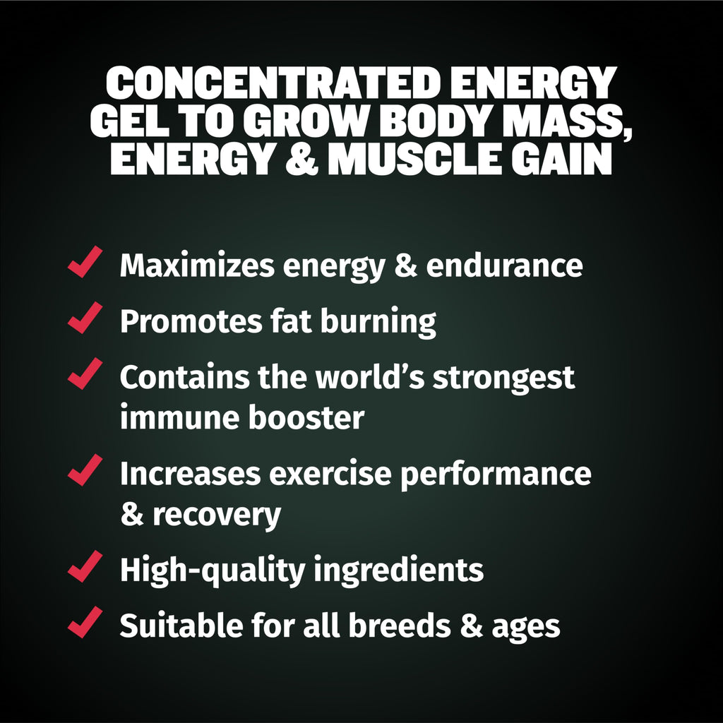 Dog Muscle & Weight Gain Liquid Bundle G1490