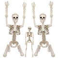 2Pcs 36" 1Pcs 16" Posable Plastic Skeleton I379