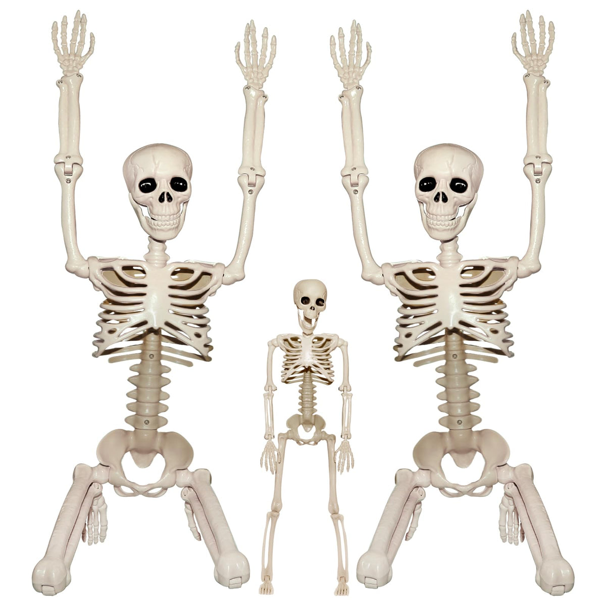 2Pcs 36" 1Pcs 16" Posable Plastic Skeleton I379