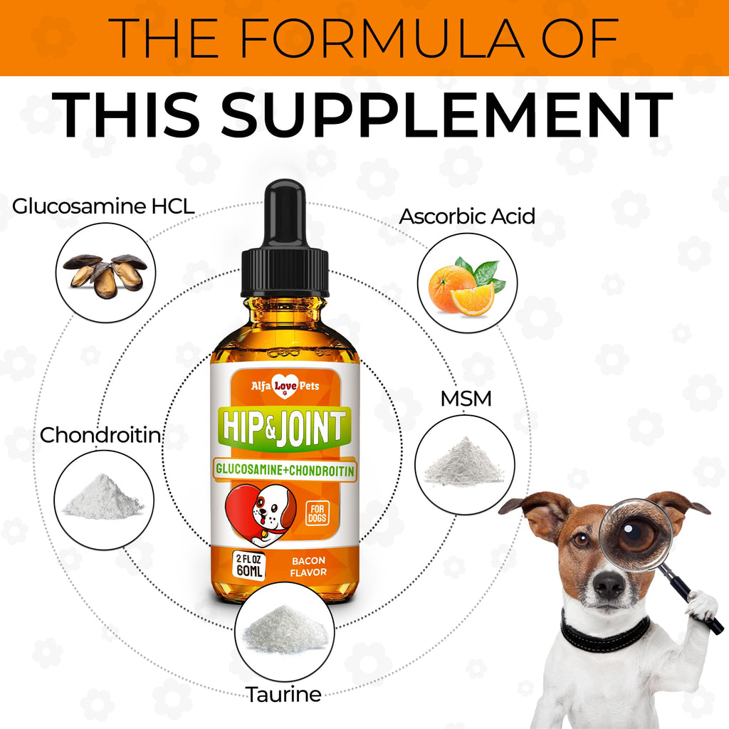 Liquid Glucosamine Chondroitin Dog Supplement 2 oz Z735