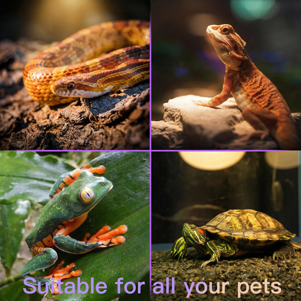 Reptile Heat Lamp Kit B92572