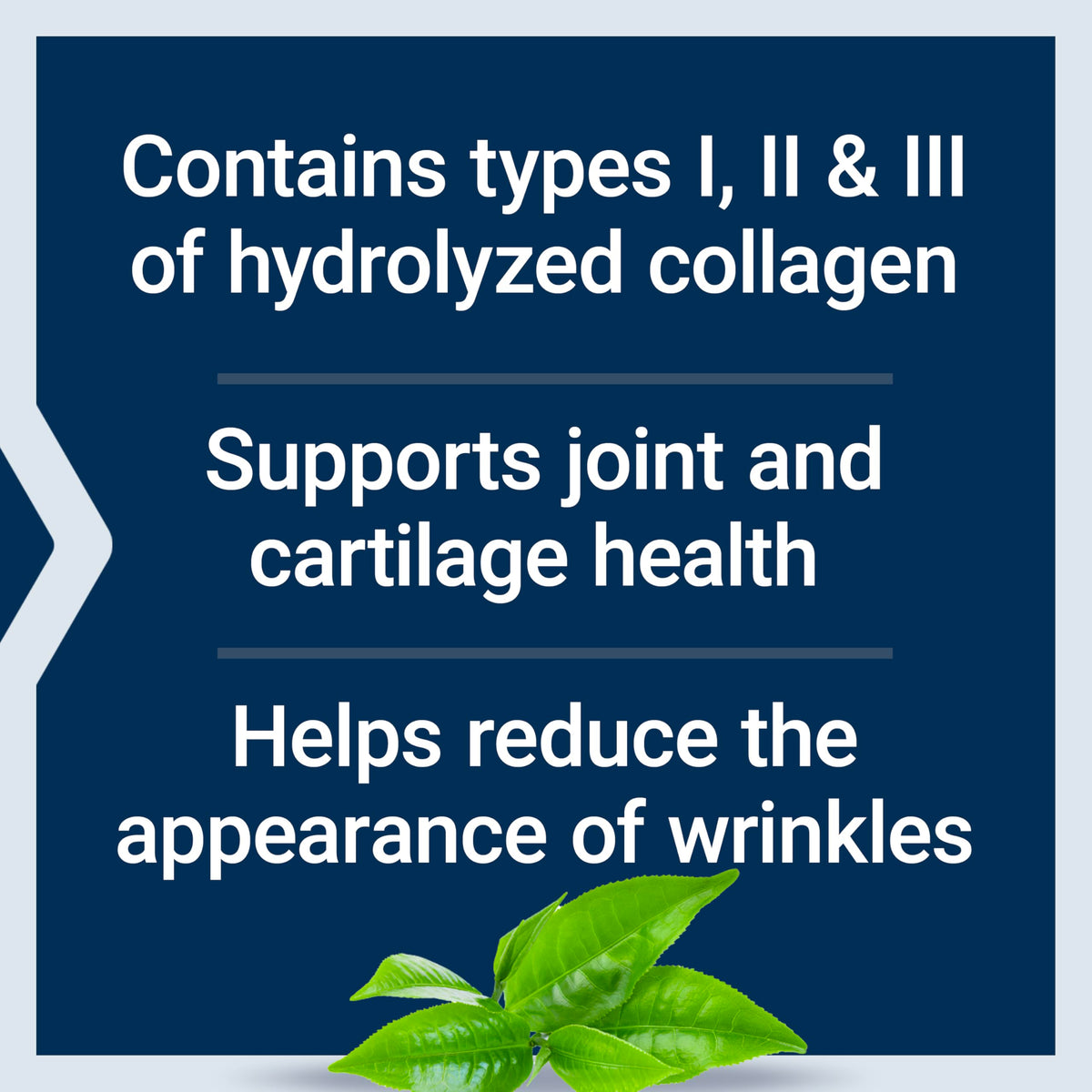 Collagen Peptides 343 Grams O7614