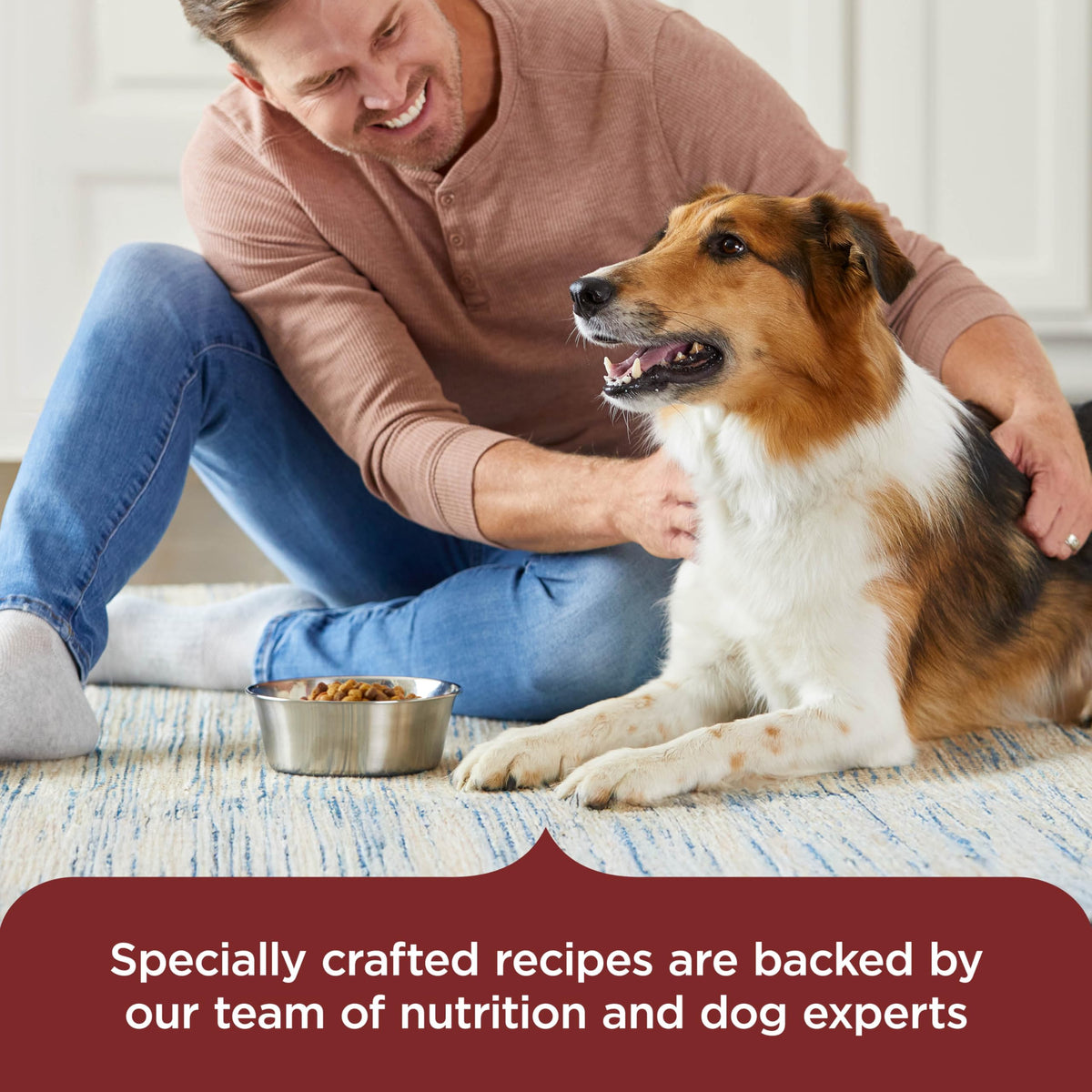 Dry Dog Food, Beef, Pea & Brown Rice, 40 lb. Bag K9671