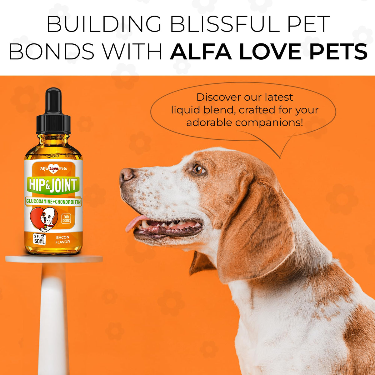 Liquid Glucosamine Chondroitin Dog Supplement 2 oz Z735