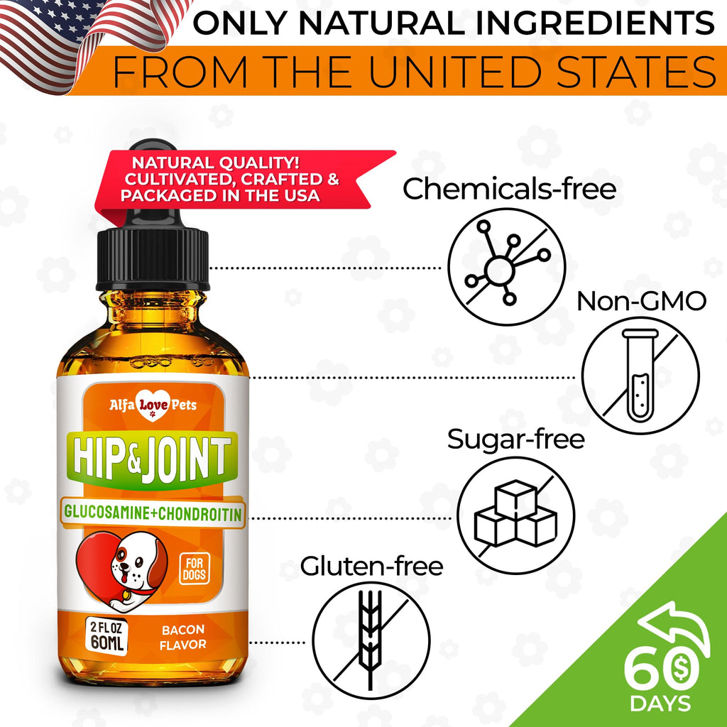 Liquid Glucosamine Chondroitin Dog Supplement 2 oz Z735