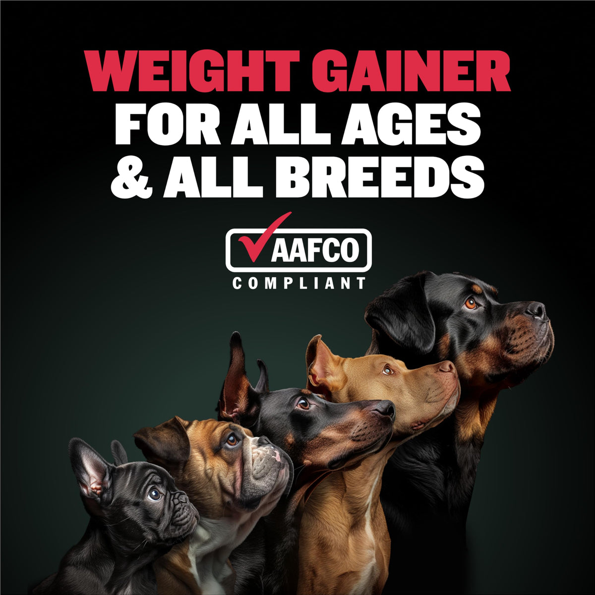 Dog Muscle & Weight Gain Liquid Bundle G1490