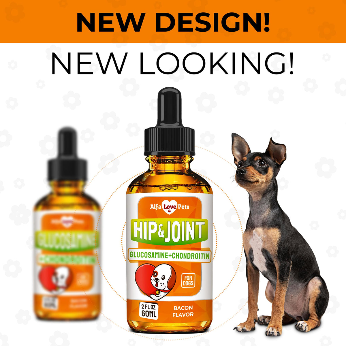 Liquid Glucosamine Chondroitin Dog Supplement 2 oz Z735