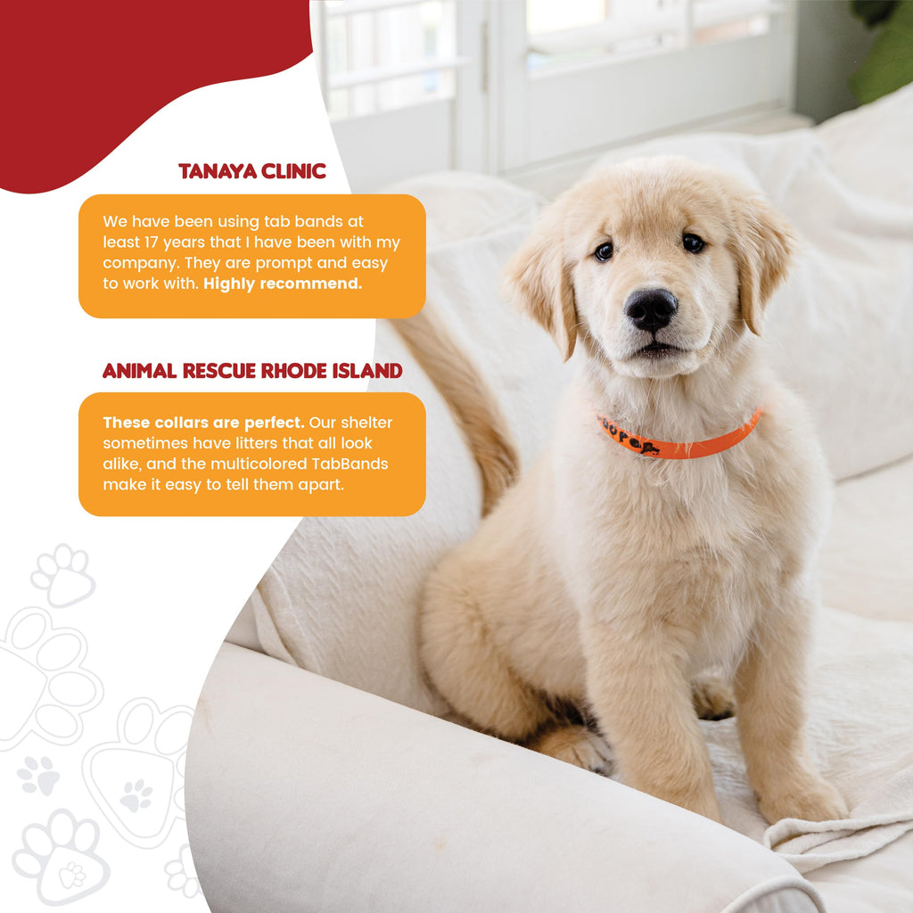 20 Inch 500 Count Waterproof Writable Tear-Resistant Pet ID Collars A3542