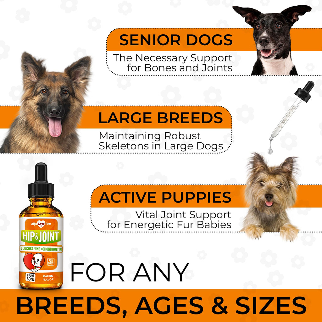 Liquid Glucosamine Chondroitin Dog Supplement 2 oz Z735