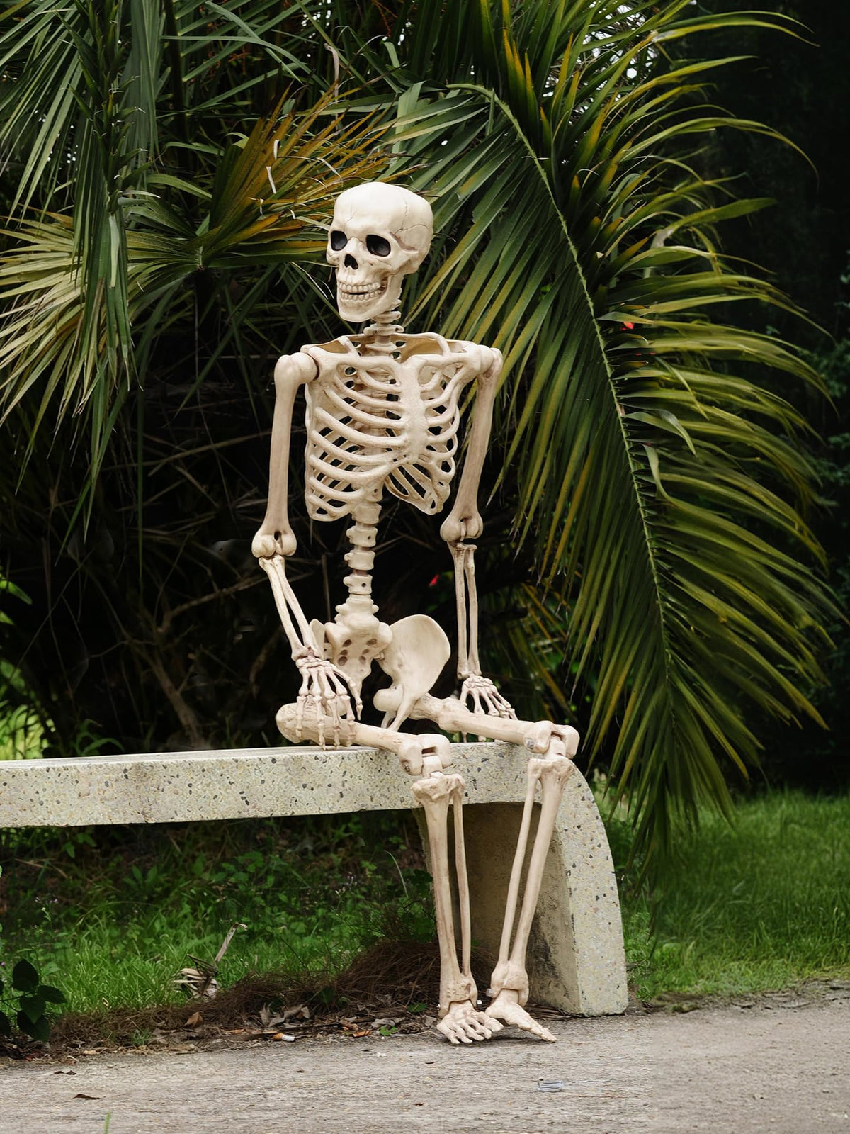 Life Size Posable Skeleton with Movable Joints K62258