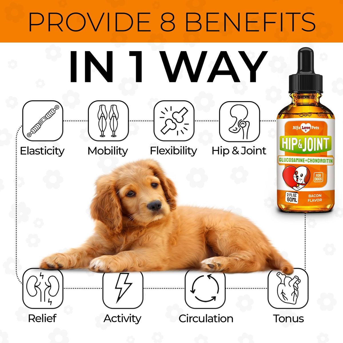 Liquid Glucosamine Chondroitin Dog Supplement 2 oz Z735