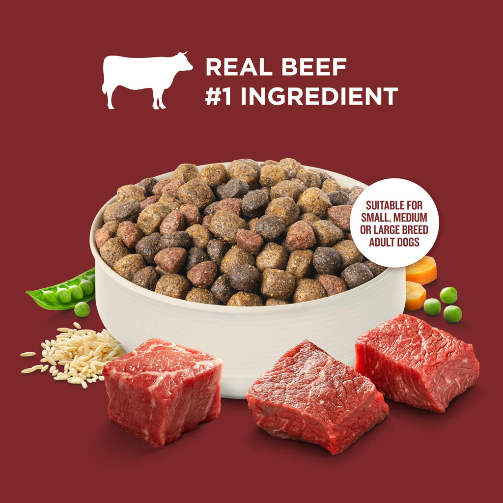Dry Dog Food, Beef, Pea & Brown Rice, 40 lb. Bag K9671