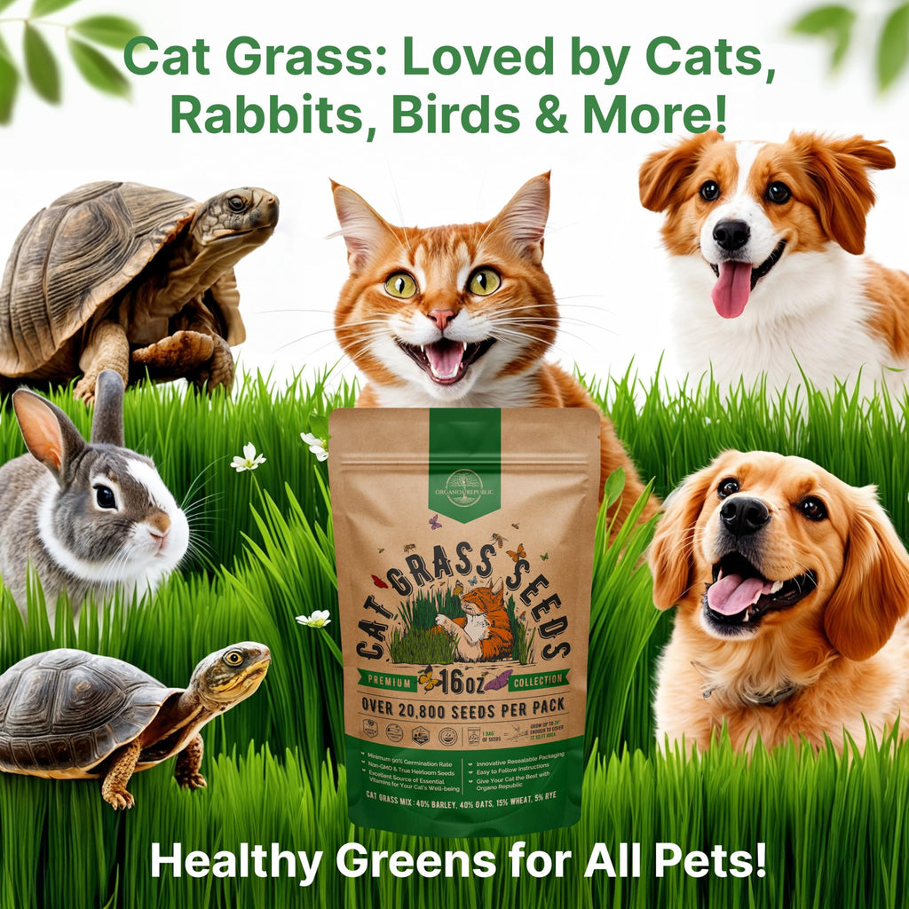Cat Grass Seeds Mix 16 oz Non-GMO Heirloom I107138