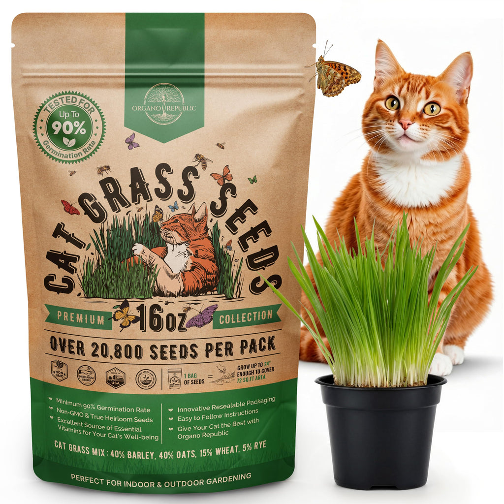 Cat Grass Seeds Mix 16 oz Non-GMO Heirloom I107138