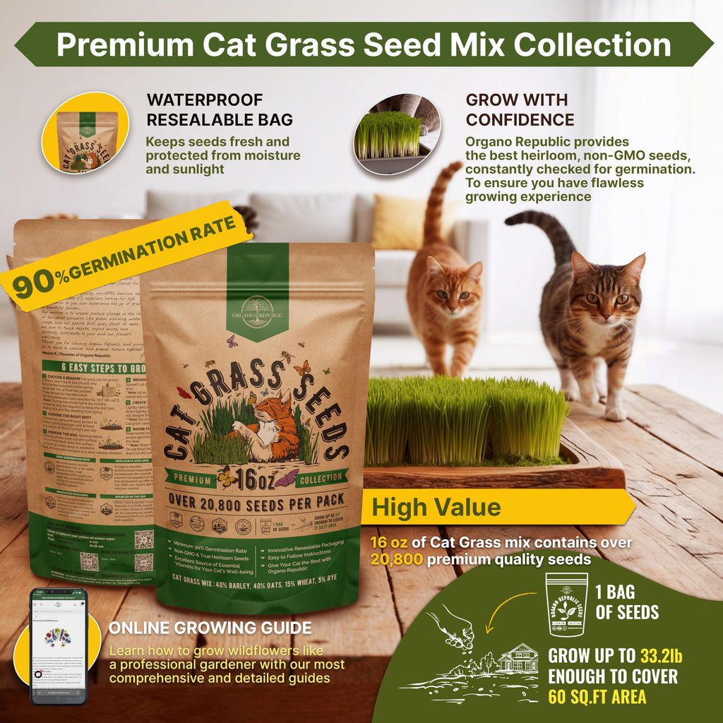 Cat Grass Seeds Mix 16 oz Non-GMO Heirloom I107138